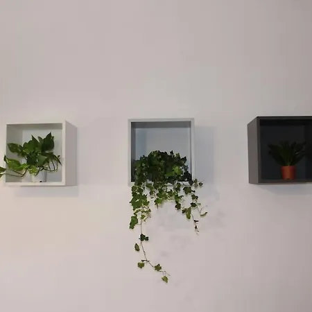 Spazioso Apartment